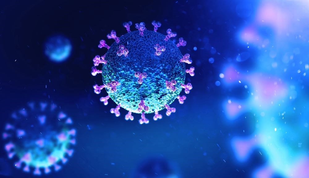 Article : CORONAVIRUS 2019 : Un virus assez distingu&eacute;